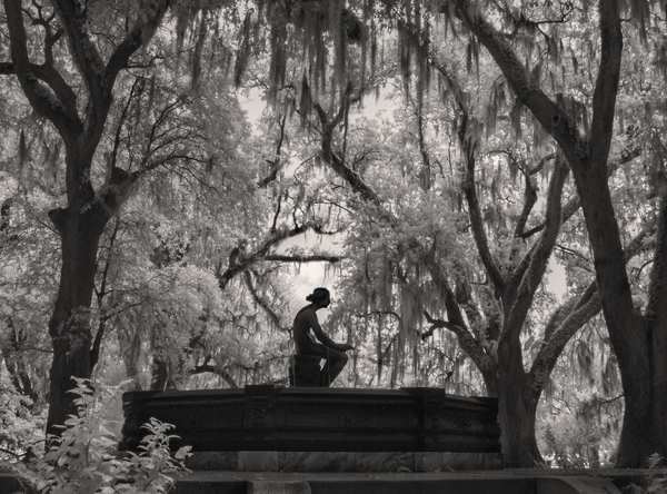 Oaks and Memorial Fountain, City Park, New Orleans